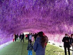 -绿野森林乐园冰雪季