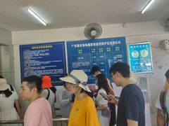 -广东惠东海龟国家级自然保护区