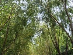 -郑州方特水上乐园