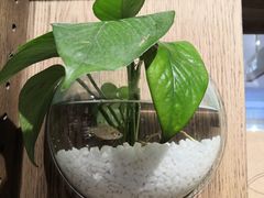 -鹿岛会员店(灞桥华阳城店)
