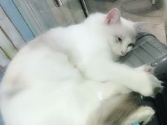 -小时光咖啡馆(开森度假森林店)