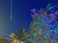 -醉月城西昌火盆烧烤(天府店)