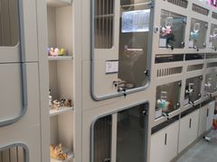 -唐小姐の私宠·宠物洗护美容·撸猫馆·购宠(周浦万达旗舰店)