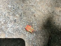 -天津盘山风景名胜区