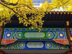 -四川大学(华西校区)