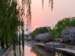 -海棠花溪(元大都城垣遗址公园)