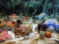 -梦幻海洋王国(吾悦广场张家港店)