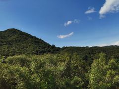 -阳台山自然风景区