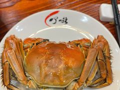 -顺德了能馆(虎门店)