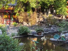 -白家大院·王府宫廷菜(苏州街店)