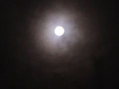 -CoCo都可(骆家庄新店)