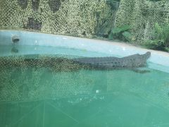 -广州长隆飞鸟乐园