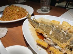 -大树餐厅(益田假日店)