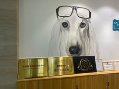 -美联众合动物医院·24h转诊中心