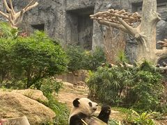 -石排湾郊野公园