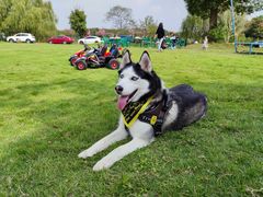 -PETKIT小佩宠物·低压洗护(国顺东路店)