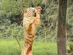 -杭州野生动物世界