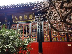 -青羊宫
