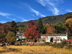 -塔川景区