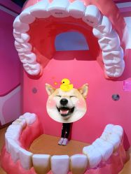 -北京科学中心儿童乐园