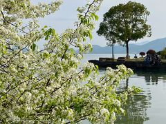 -东钱湖小普陀景区