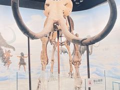 -辽宁古生物博物馆