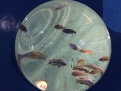 -苏州海洋馆