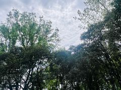 -七桥瓮公园