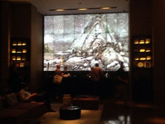 iphone_upload_pic-杭州逸酒店(西湖武林店)