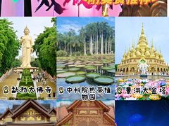 -西双版纳原始森林公园