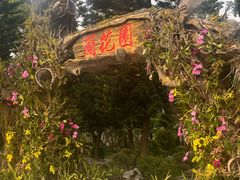 -东莞植物园