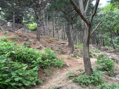 -北京鹫峰国家森林公园