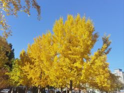 -天津市儿童医院(河西马场院区)