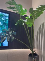 -欧兔博士·O2BOX微高压氧舱