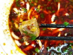 -塞拉宫兰州牛肉面