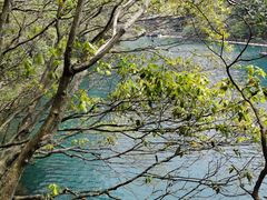 -祁门牯牛降观音堂风景区