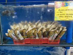 -蚝专家(北滘店)