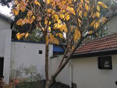 -上海蔡元培故居陈列馆
