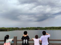 -上海都市菜园