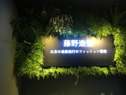 点击看大图 -藤野造型
