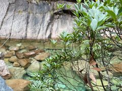 -黄山翡翠谷景区