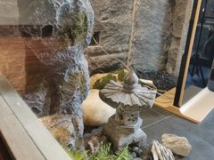 -桃夭日式料理(国信店)