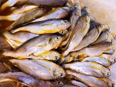 -芦潮港集贸市场