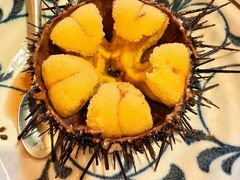 -樱の花亭日本料理店