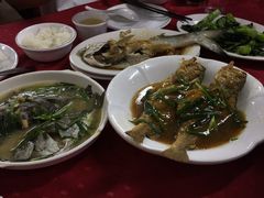 -蛇口康乐快餐鱼仔档(翠苑小区店)