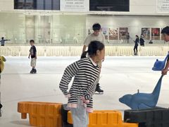 -TheRink大零溜冰场(IFS国金中心店)