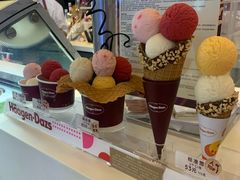 -哈根达斯(合肥天鹅湖店)