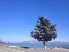 -阳光便利店(环海西路店)