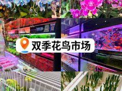 -双季花艺园艺市场(浦东店)