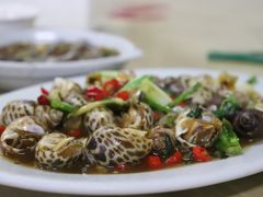 辣炒花螺-长平肥姐白粥·海鲜打冷